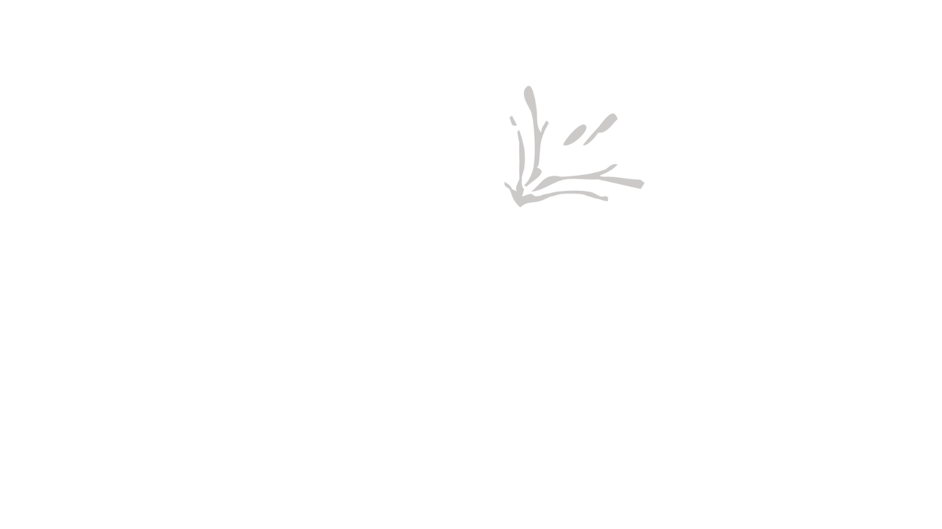 azeala-logo